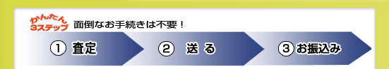 �ʓ|�Ȃ��葱���͕s�v