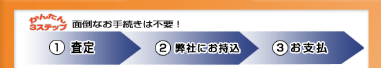 �ʓ|�Ȃ��葱���͕s�v